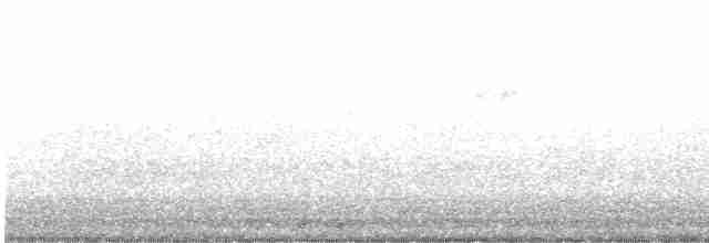 Черногорлая хвойница - ML573472481