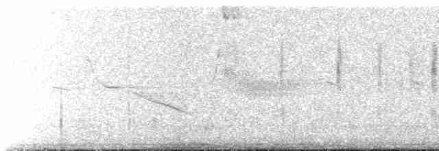 rorýs hnědohrdlý - ML573481701