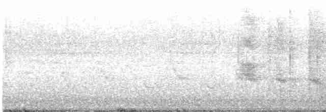 vlhovec velkoocasý - ML573517041
