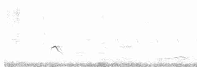 Little Ringed Plover - ML573525271
