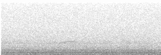 Дрізд-короткодзьоб Cвенсона - ML573541481