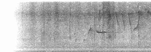 Cerulean Warbler - ML573559381