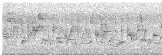 eBird Checklist - 17 May 2023 - Praha--Císařský ostrov - 27 species