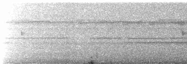 Scissor-tailed Nightjar - ML573563851