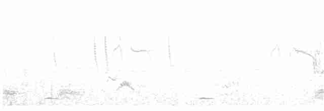 Сичик-горобець гірський - ML57363941