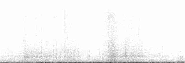 Берингийский песочник - ML57366921