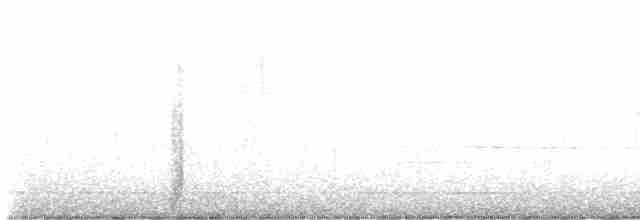 Evening Grosbeak (type 1) - ML573670841