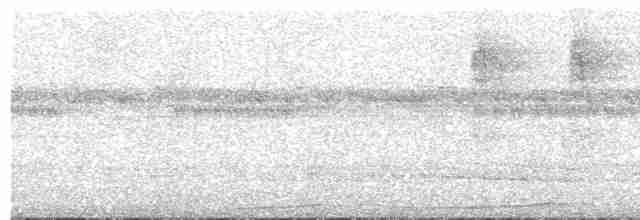 Сероглазая земляная горлица - ML573671071