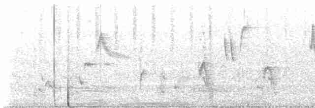 Gray Catbird - ML573681201
