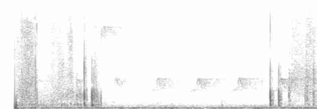 Canada Warbler - ML573715011