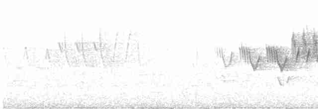 Cerulean Warbler - ML573727861