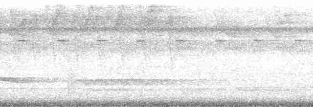 Streak-chested Antpitta (Pacific Slope) - ML57375
