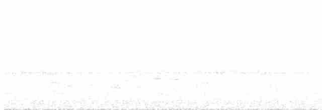 Анаперо-довгокрил рудочеревий - ML573806911
