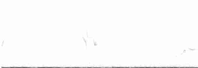 Сероголовый виреон - ML573818471