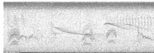 White-throated Flycatcher - ML573834651