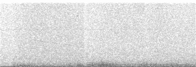 Щеврик пампасовий - ML57386001