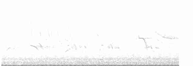 Yeşil-Mor Kırlangıç - ML573870781