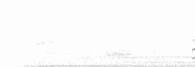 drozdec černohlavý - ML573891021