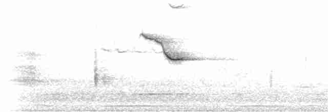 Al Kanatlı Karatavuk [phoeniceus grubu] - ML57390941