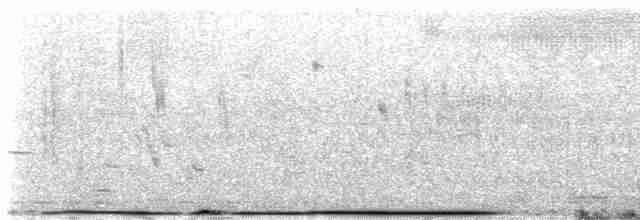 storpræriejerpe - ML573924631
