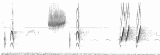 Sinsonte Norteño - ML573936011