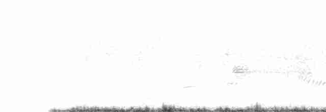 Oriole des vergers - ML573952531