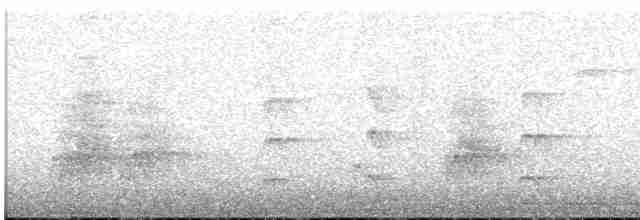 Slender-billed Parakeet - ML573952781