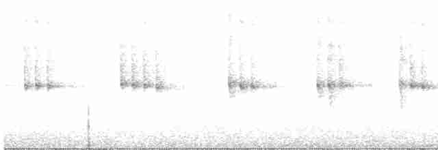 White-throated Treerunner - ML573958421