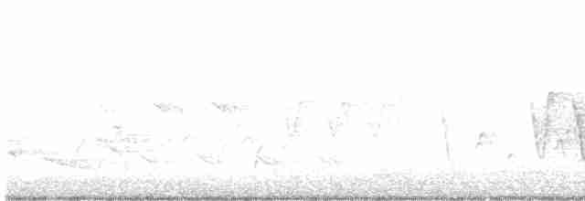 Paruline à gorge grise - ML573959291