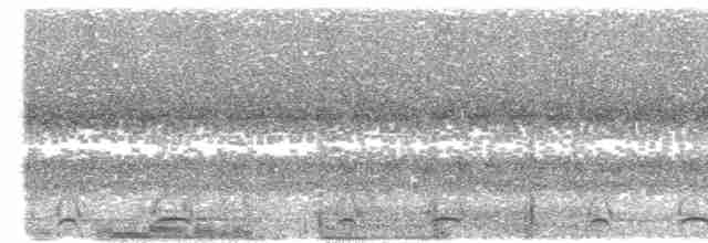Chevêchette cuculoïde - ML573972271