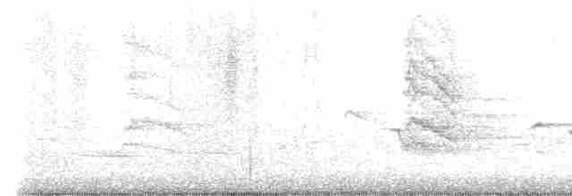 Hooded Warbler - ML573977191