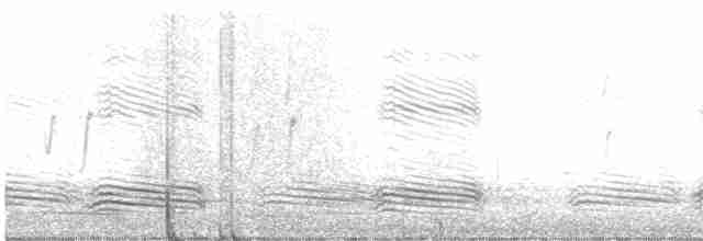 Weißschwanzgerygone - ML574114221