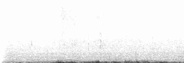 kajka mořská (ssp. dresseri) - ML574124431