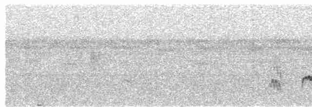 White-flanked Antwren - ML574195501