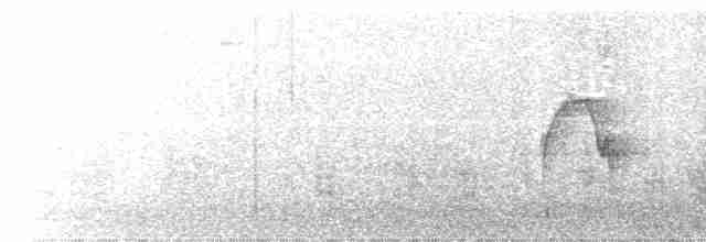Kestane Kulaklı Arapbülbülü - ML574207521