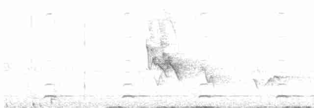 Сичик-горобець гірський (підвид gnoma) - ML574217271