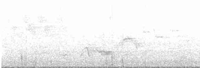 Дрізд-короткодзьоб Cвенсона - ML574252821