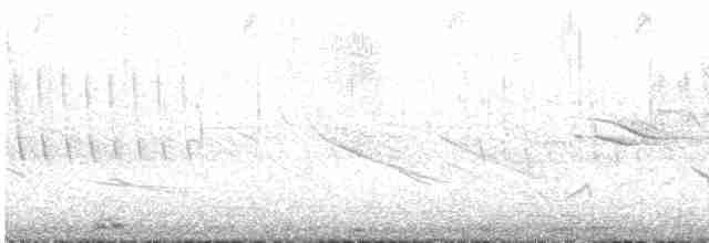 Tinamou curvirostre - ML574307941
