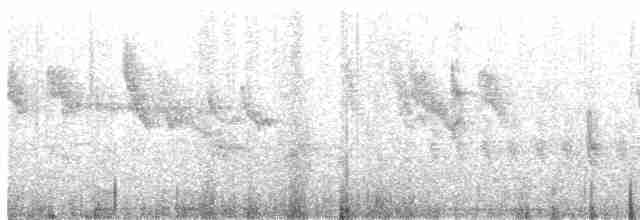 Arctic Warbler - ML574310331
