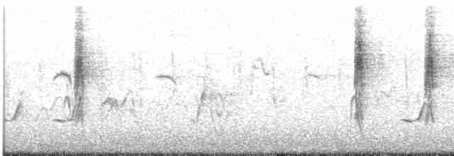 Голосистый тугайный соловей - ML574353111