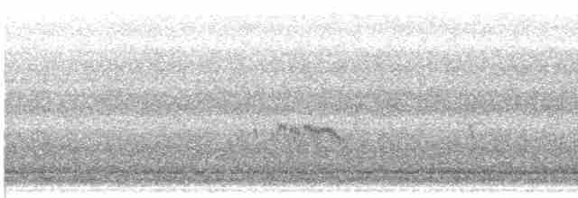 Kara Karınlı Kumkuşu - ML574386621
