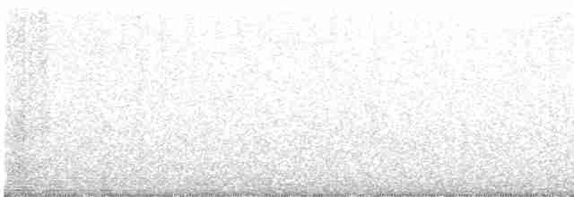 Common Yellowthroat - ML574488431