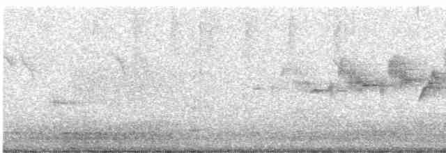 Black-throated Gray Warbler - ML574579151