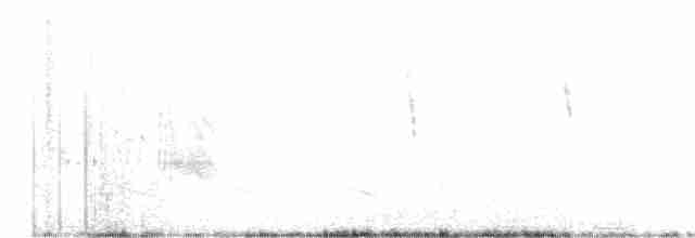 tyranovec vrbový - ML574593091