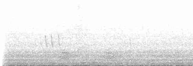 European Greenfinch - ML574733071