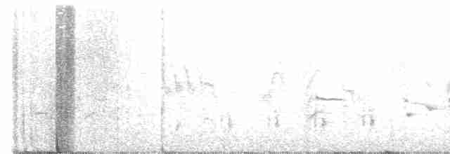Great Reed Warbler - ML574739281