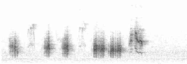 Great Reed Warbler - ML574747011
