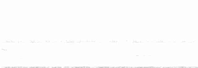 Schwarzkehl-Nachtschwalbe - ML574756041