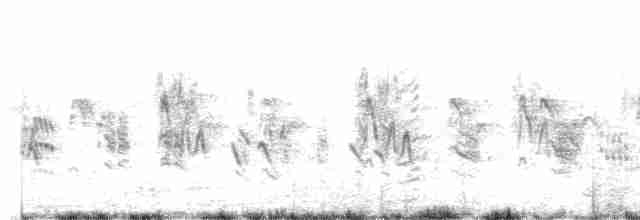 Great Reed Warbler - ML574757261