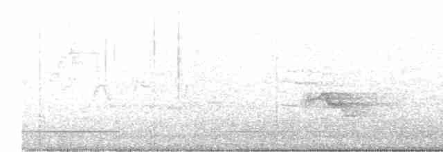 Gri Yanaklı Bülbül Ardıcı - ML574760711